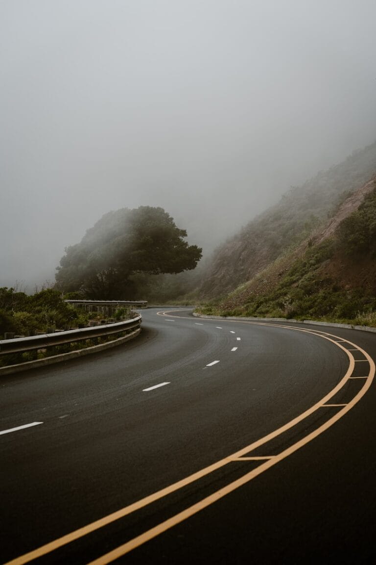 A curved road with a tree on the side of it